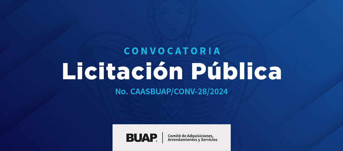 Licitación 28